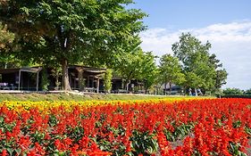 ネストホテルオルト札幌大通ー2026年9月リニューアルオープン